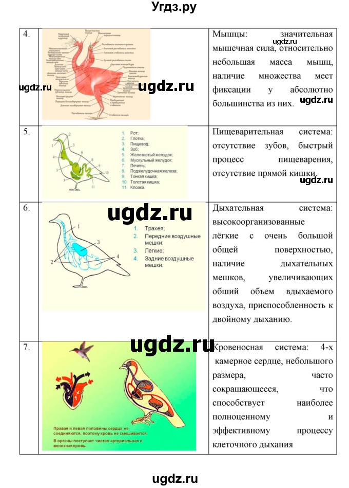 ГДЗ (Решебник) по биологии 7 класс Сивоглазов В.И. / параграф / 25(продолжение 5)