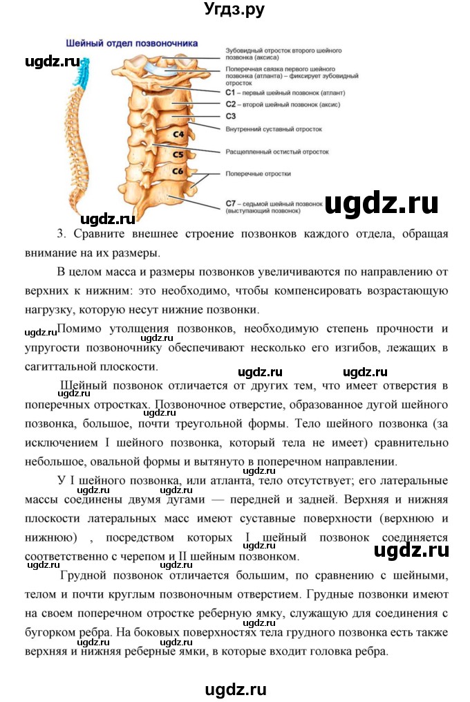 ГДЗ (Решебник) по биологии 8 класс Сивоглазов В.И. / параргаф / 19(продолжение 6)