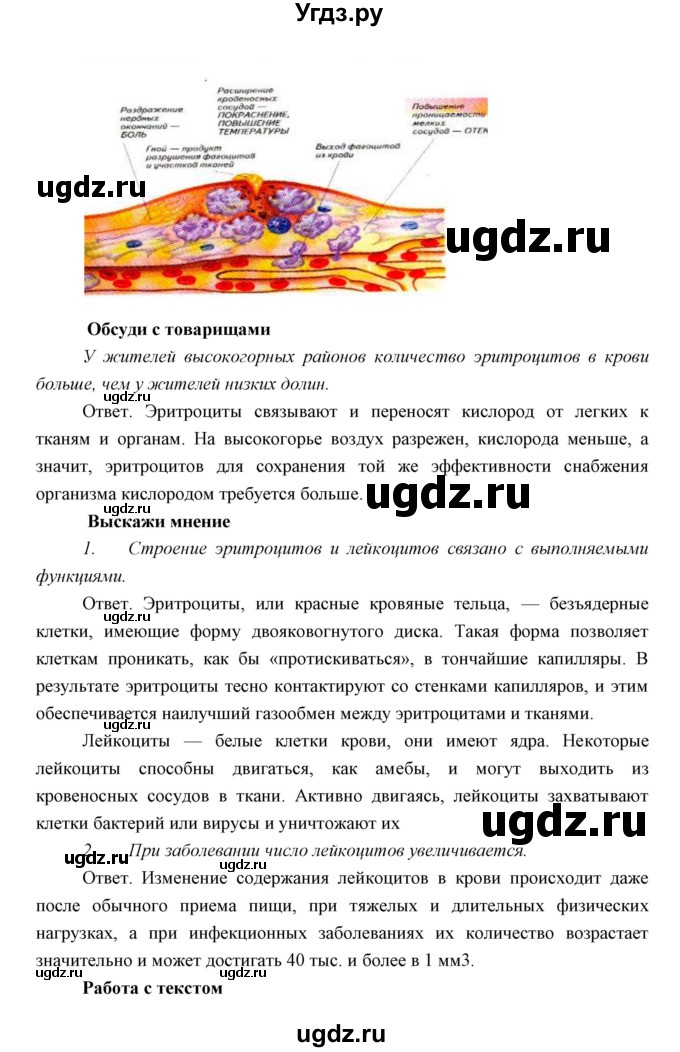 ГДЗ (Решебник) по биологии 8 класс Сивоглазов В.И. / параргаф / 24(продолжение 3)