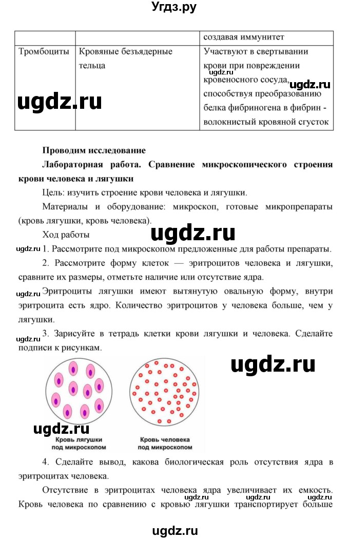 ГДЗ (Решебник) по биологии 8 класс Сивоглазов В.И. / параргаф / 24(продолжение 5)