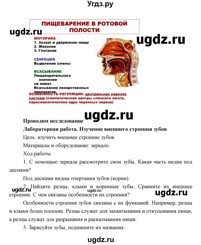 ГДЗ (Решебник) по биологии 8 класс Сивоглазов В.И. / параргаф / 34(продолжение 5)