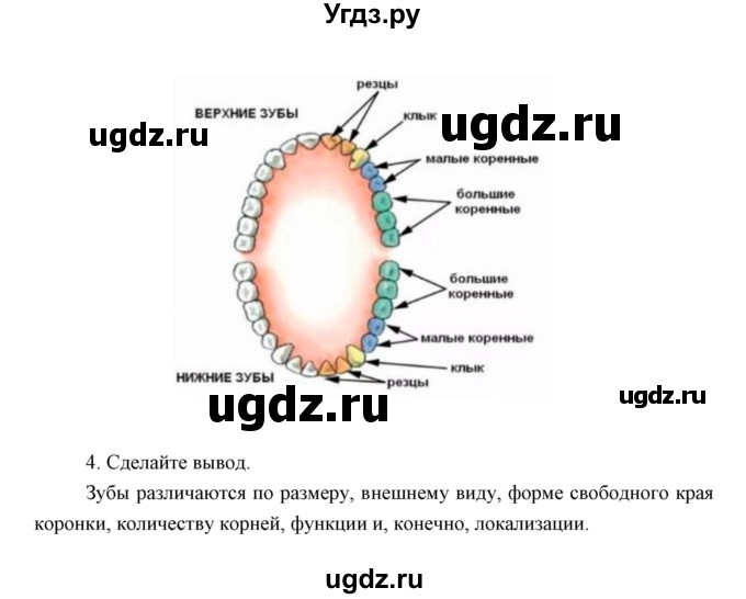 ГДЗ (Решебник) по биологии 8 класс Сивоглазов В.И. / параргаф / 34(продолжение 6)