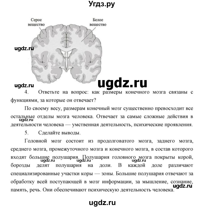 ГДЗ (Решебник) по биологии 8 класс Сивоглазов В.И. / параргаф / 9(продолжение 8)