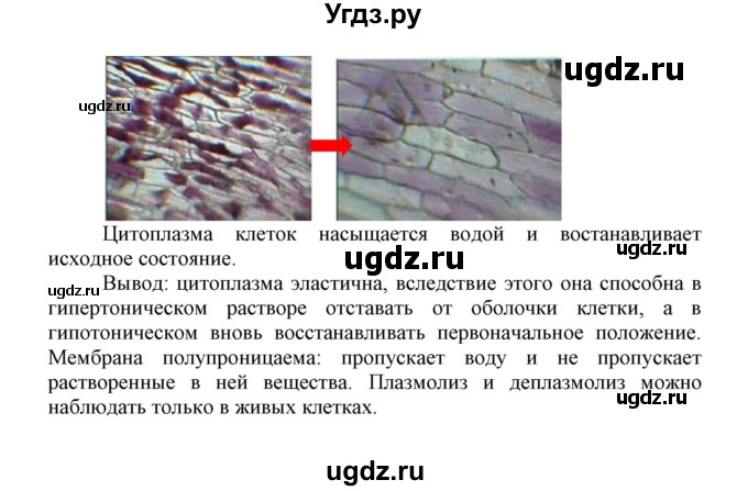 ГДЗ (Решебник) по биологии 10 класс Пасечник В.В. / параграф / 21(продолжение 7)