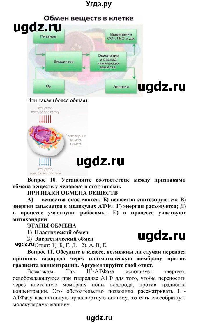 ГДЗ (Решебник) по биологии 10 класс Пасечник В.В. / параграф / 27(продолжение 3)