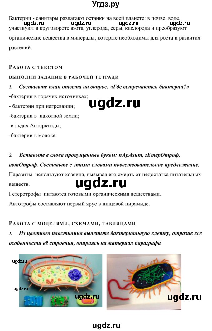 ГДЗ (Решебник) по биологии 5 класс Сивоглазов В.И. / параграф / 17(продолжение 5)