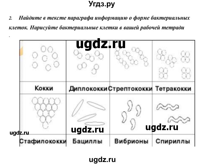 ГДЗ (Решебник) по биологии 5 класс Сивоглазов В.И. / параграф / 17(продолжение 6)