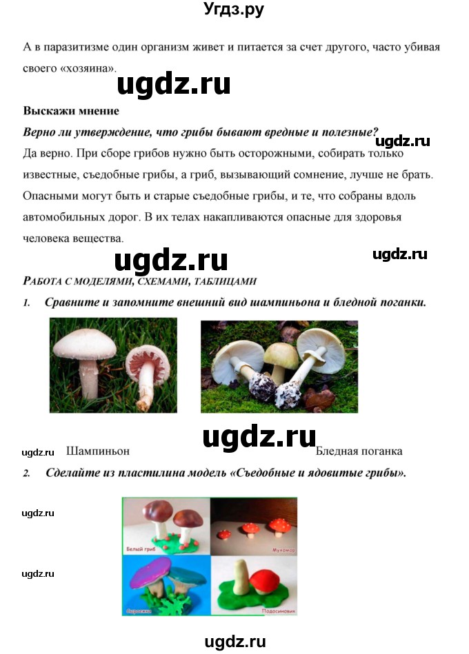 ГДЗ (Решебник) по биологии 5 класс Сивоглазов В.И. / параграф / 20(продолжение 8)