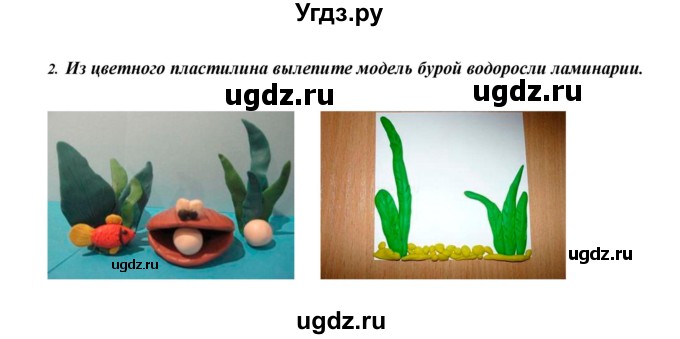 ГДЗ (Решебник) по биологии 5 класс Сивоглазов В.И. / параграф / 23(продолжение 7)