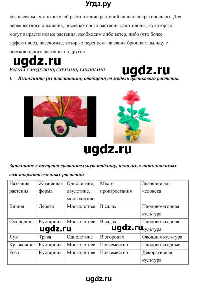 ГДЗ (Решебник) по биологии 5 класс Сивоглазов В.И. / параграф / 28(продолжение 10)