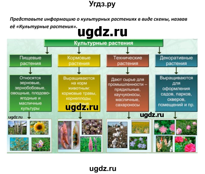 ГДЗ (Решебник) по биологии 5 класс Сивоглазов В.И. / параграф / 30(продолжение 21)