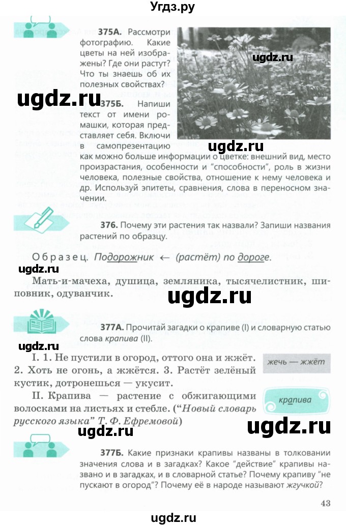 ГДЗ (Учебник) по русскому языку 5 класс Сабитова З.К. / часть 2. страница / 43