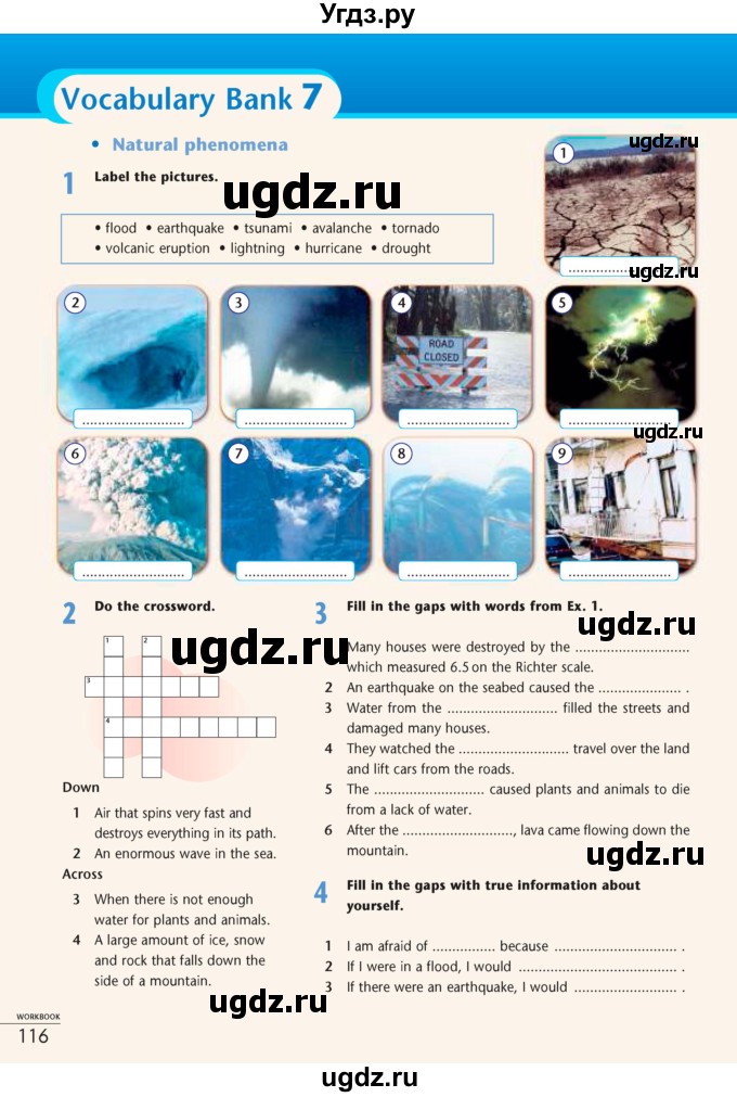 ГДЗ (Учебник) по английскому языку 7 класс (рабочая тетрадь Excel) Эванс В. / страница / 116