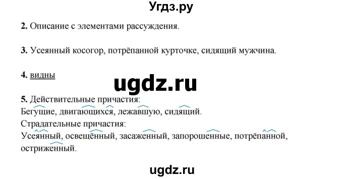 ГДЗ (Решебник) по русскому языку 7 класс (рабочая тетрадь) Склярова В.Л. / часть 2. страница / 81