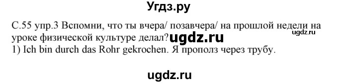 ГДЗ (Решебник) по немецкому языку 7 класс (рабочая тетрадь) Будько А.Ф. / страница / 55