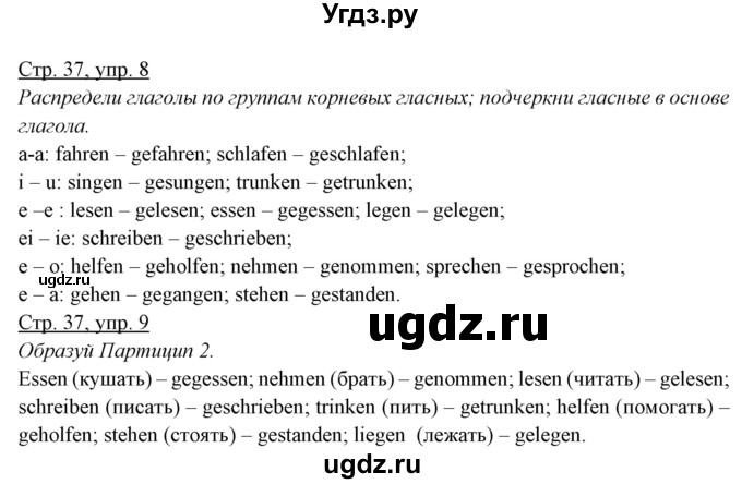 ГДЗ (Решебник) по немецкому языку 5 класс (рабочая тетрадь) Будько А.Ф. / страница / 37