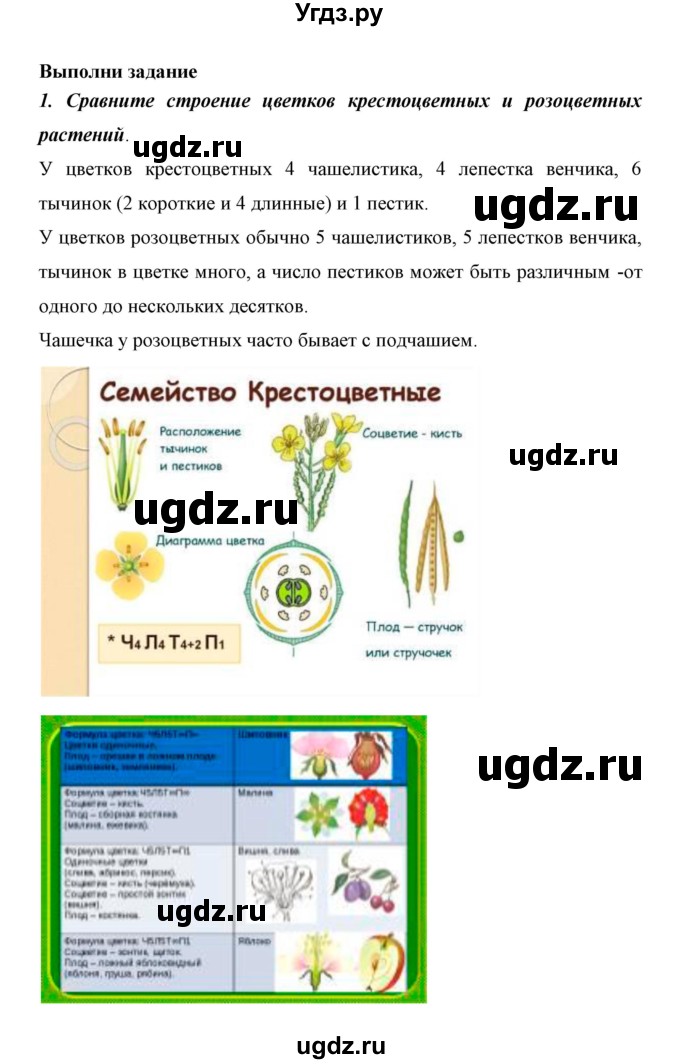 ГДЗ (Решебник) по биологии 6 класс Сивоглазов В. И. / страница / 106(продолжение 4)