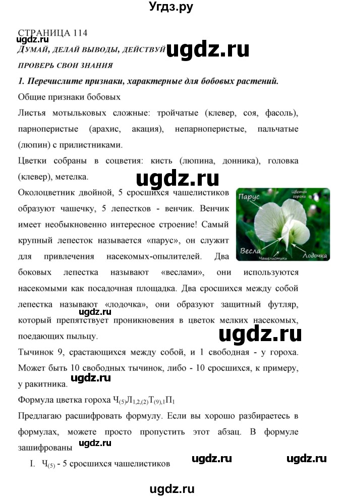 ГДЗ (Решебник) по биологии 6 класс Сивоглазов В. И. / страница / 114