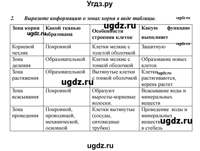 ГДЗ (Решебник) по биологии 6 класс Сивоглазов В. И. / страница / 20(продолжение 6)