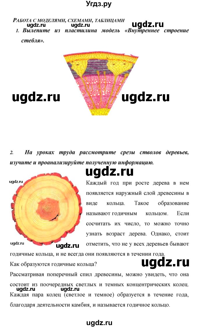 ГДЗ (Решебник) по биологии 6 класс Сивоглазов В. И. / страница / 33(продолжение 3)