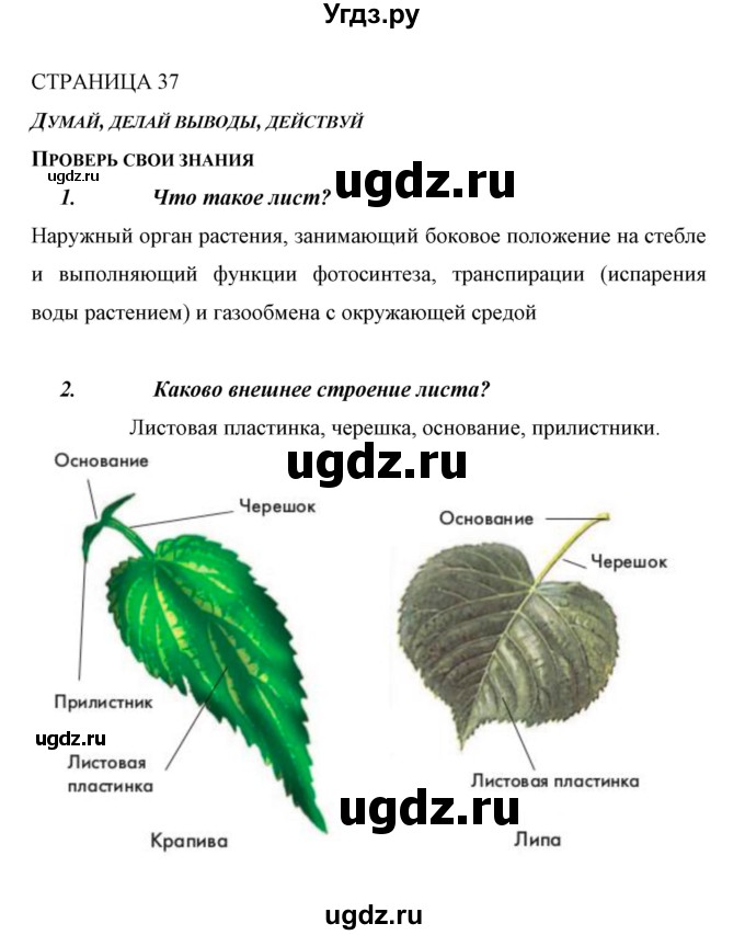 ГДЗ (Решебник) по биологии 6 класс Сивоглазов В. И. / страница / 37