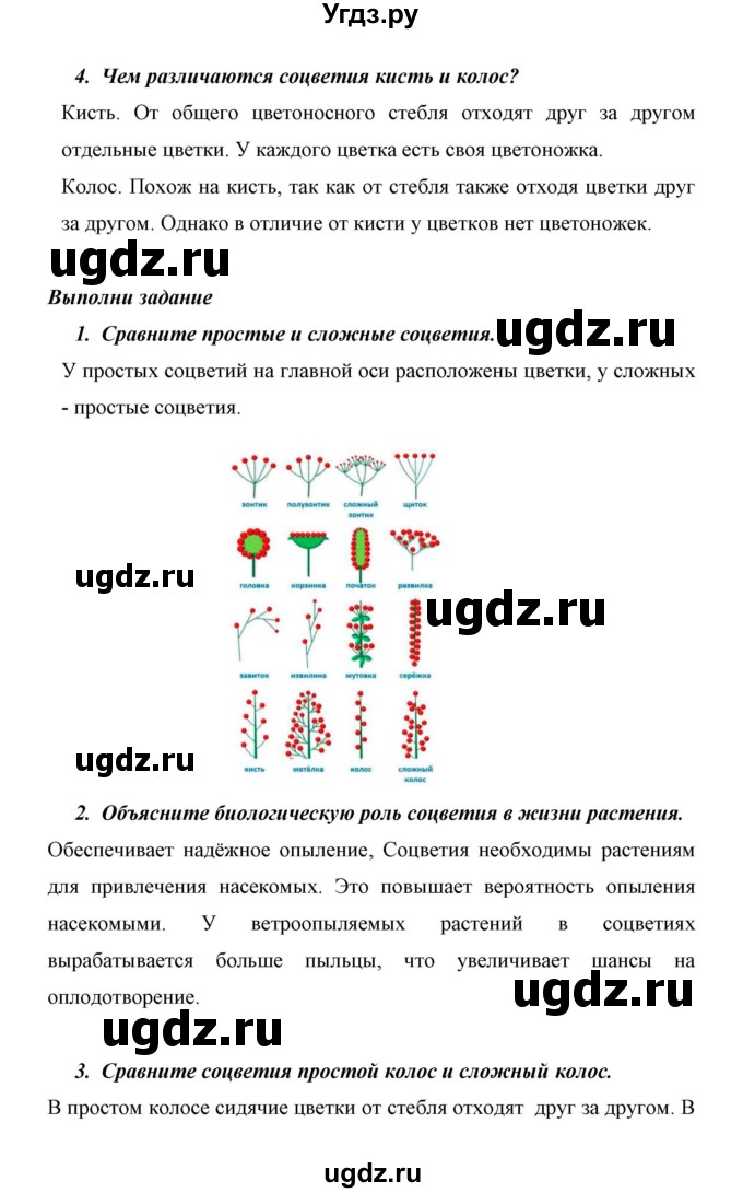 ГДЗ (Решебник) по биологии 6 класс Сивоглазов В. И. / страница / 50(продолжение 2)