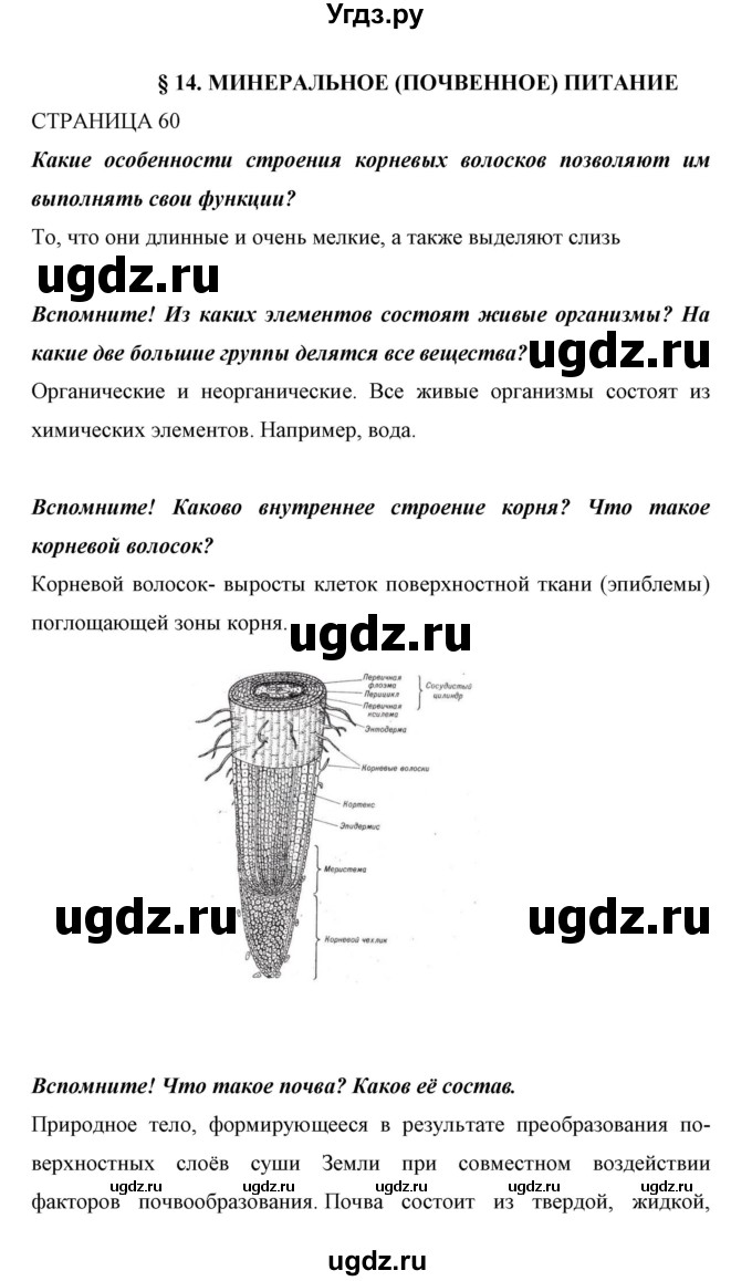 ГДЗ (Решебник) по биологии 6 класс Сивоглазов В. И. / страница / 60