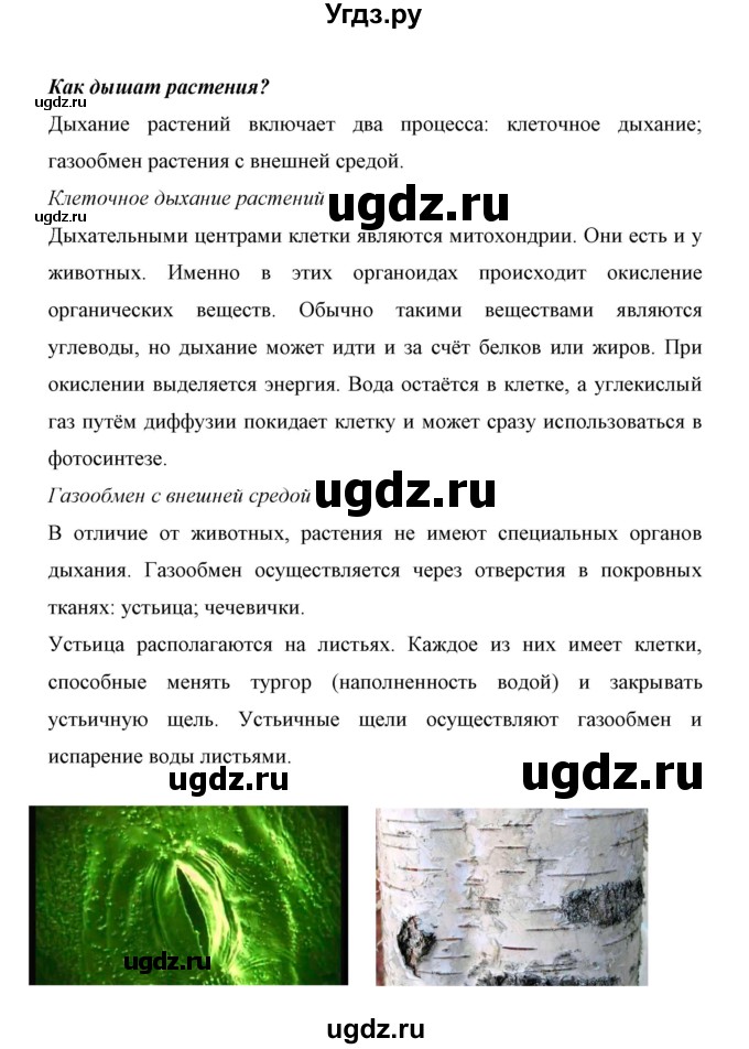 ГДЗ (Решебник) по биологии 6 класс Сивоглазов В. И. / страница / 71(продолжение 2)