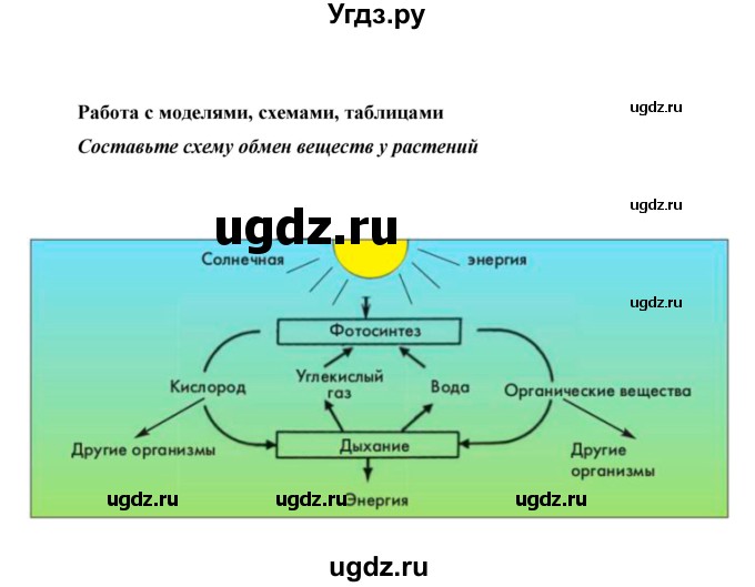 ГДЗ (Решебник) по биологии 6 класс Сивоглазов В. И. / страница / 83(продолжение 5)