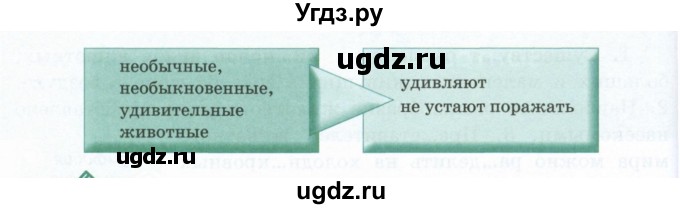 ГДЗ (Учебник) по русскому языку 6 класс Сабитова З.К. / упражнение / 382(продолжение 2)