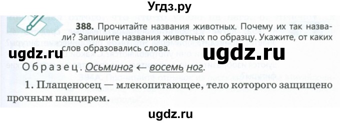 ГДЗ (Учебник) по русскому языку 6 класс Сабитова З.К. / упражнение / 388