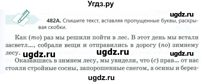 ГДЗ (Учебник) по русскому языку 6 класс Сабитова З.К. / упражнение / 482