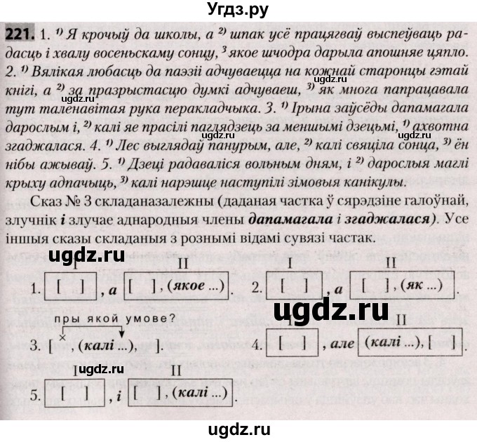 ГДЗ (Решебник №2) по белорусскому языку 9 класс Валочка Г.М. / практыкаванне / 221