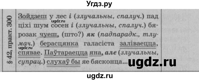 ГДЗ (Решебник №3 к учебнику 2015) по белорусскому языку 7 класс Валочка Г.М. / практыкаванне / 300(продолжение 2)