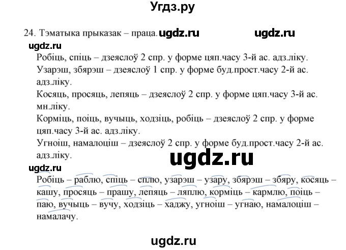 ГДЗ (Решебник №1 к учебнику 2015) по белорусскому языку 7 класс Валочка Г.М. / практыкаванне / 24