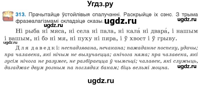 ГДЗ (Учебник 2020) по белорусскому языку 7 класс Валочка Г.М. / практыкаванне / 313