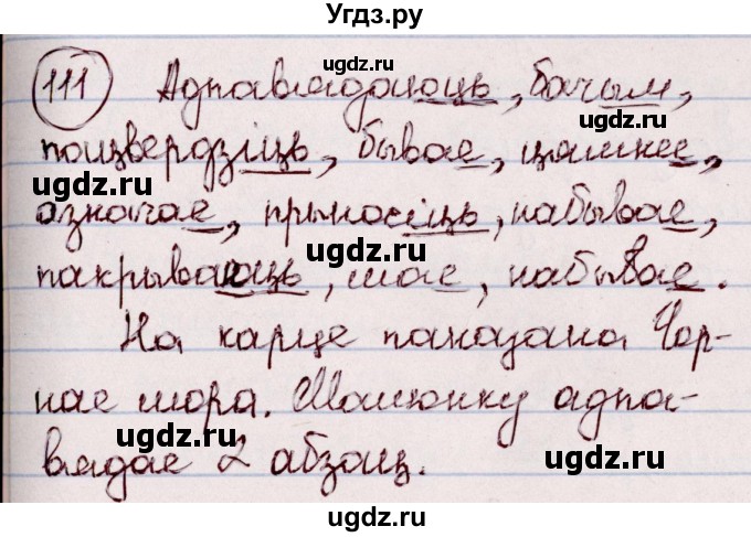 ГДЗ (Решебник №1 к учебнику 2020) по белорусскому языку 7 класс Валочка Г.М. / практыкаванне / 111