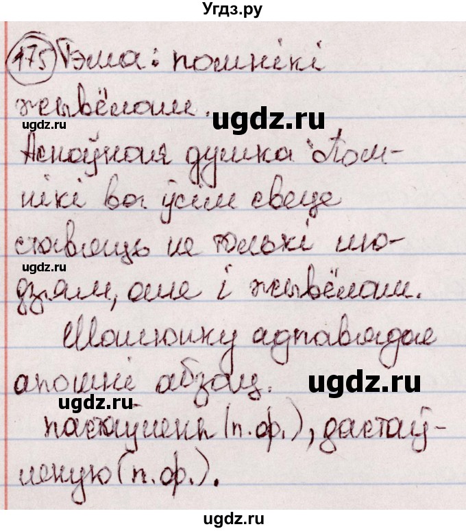 ГДЗ (Решебник №1 к учебнику 2020) по белорусскому языку 7 класс Валочка Г.М. / практыкаванне / 175