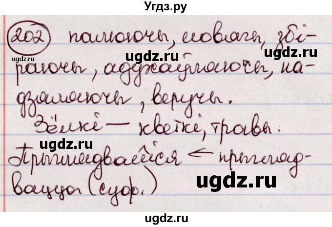 ГДЗ (Решебник №1 к учебнику 2020) по белорусскому языку 7 класс Валочка Г.М. / практыкаванне / 202