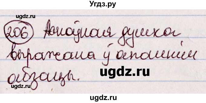 ГДЗ (Решебник №1 к учебнику 2020) по белорусскому языку 7 класс Валочка Г.М. / практыкаванне / 206