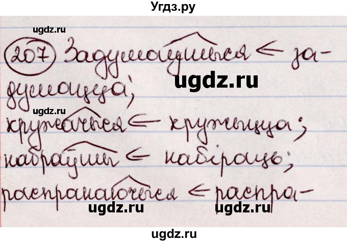 ГДЗ (Решебник №1 к учебнику 2020) по белорусскому языку 7 класс Валочка Г.М. / практыкаванне / 207