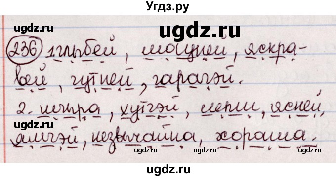 ГДЗ (Решебник №1 к учебнику 2020) по белорусскому языку 7 класс Валочка Г.М. / практыкаванне / 236