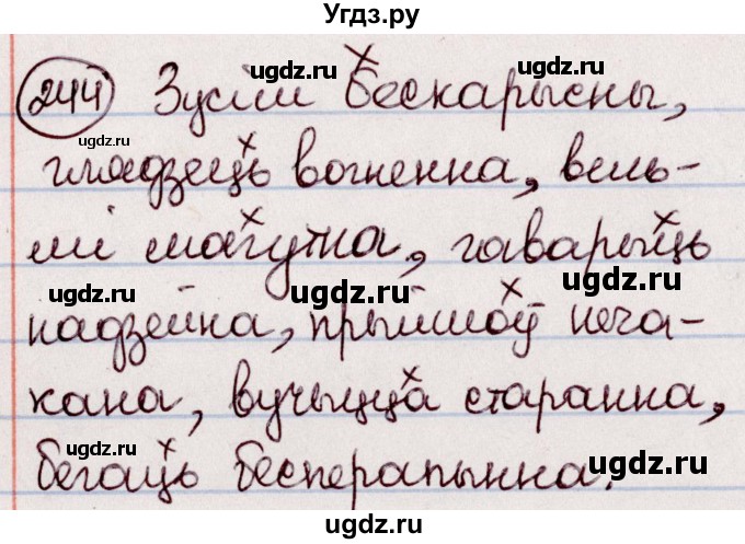 ГДЗ (Решебник №1 к учебнику 2020) по белорусскому языку 7 класс Валочка Г.М. / практыкаванне / 244