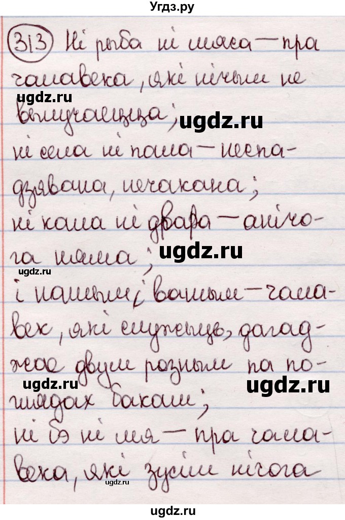 ГДЗ (Решебник №1 к учебнику 2020) по белорусскому языку 7 класс Валочка Г.М. / практыкаванне / 313