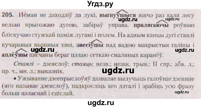 ГДЗ (Решебник №2 к учебнику 2020) по белорусскому языку 7 класс Валочка Г.М. / практыкаванне / 205