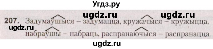 ГДЗ (Решебник №2 к учебнику 2020) по белорусскому языку 7 класс Валочка Г.М. / практыкаванне / 207