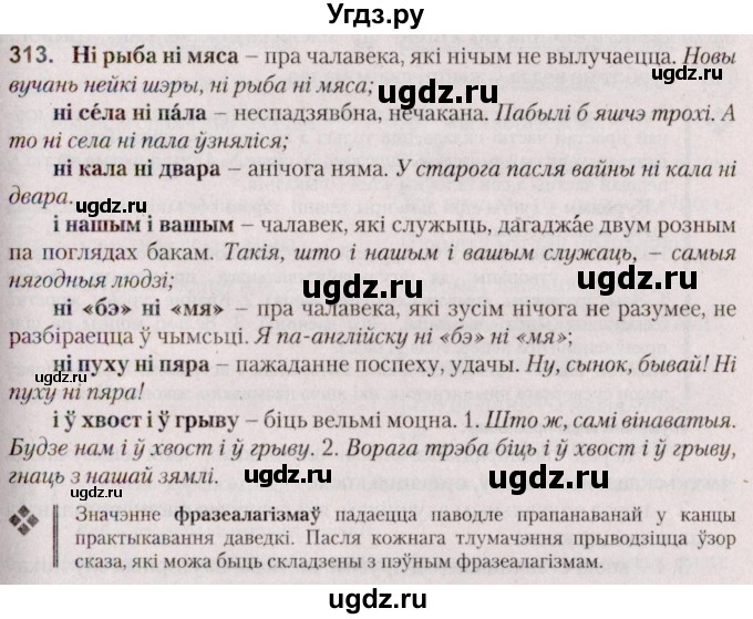 ГДЗ (Решебник №2 к учебнику 2020) по белорусскому языку 7 класс Валочка Г.М. / практыкаванне / 313