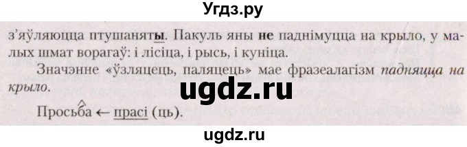 ГДЗ (Решебник №2 к учебнику 2020) по белорусскому языку 7 класс Валочка Г.М. / практыкаванне / 48(продолжение 2)