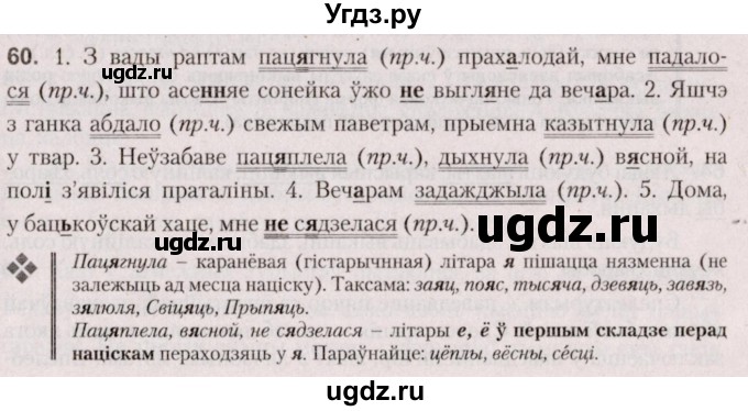 ГДЗ (Решебник №2 к учебнику 2020) по белорусскому языку 7 класс Валочка Г.М. / практыкаванне / 60