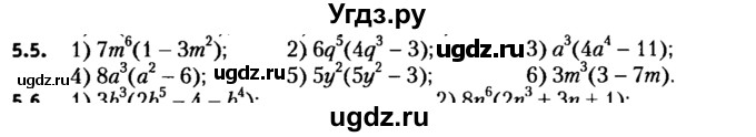 ГДЗ (решебник №2) по алгебре 7 класс Е.П. Кузнецова / глава 5 / 5